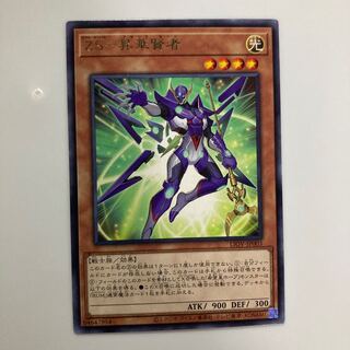 9049 ZS-Consecrate Sage Rare JP003 $4401