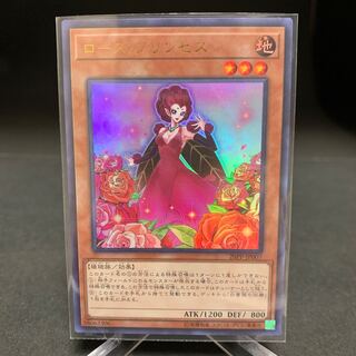 ローズ・プリンセス ウルトラレア