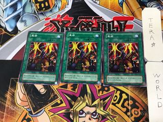 革命 B3 2期ver 3 ノーマル 3枚セット てら