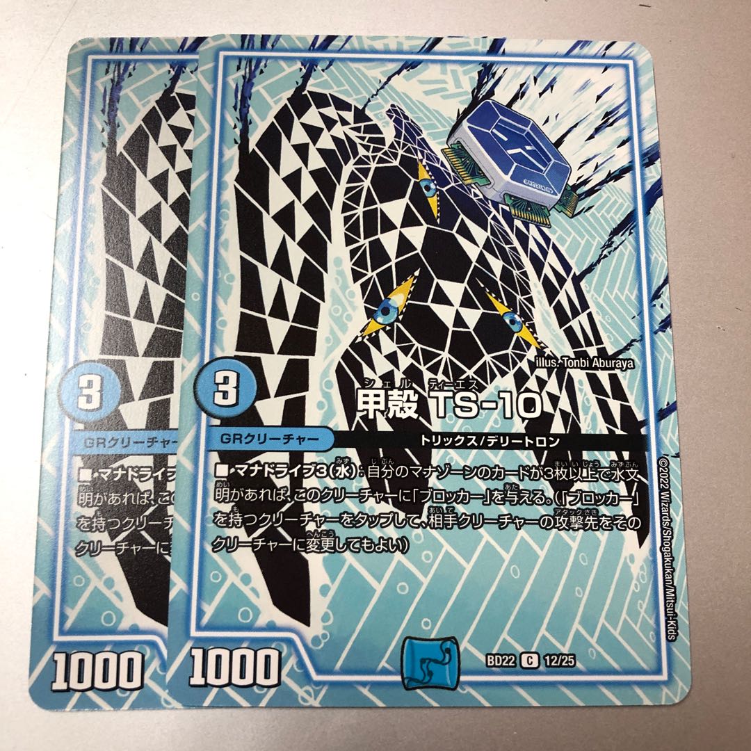 Carapace TS-10 C 12/25 2 sheets