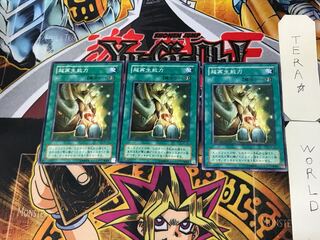 Super Rejuvenation SC 2nd period ver 1 normal, set of 3 Tera