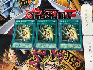 Super Rejuvenation SC 2nd period ver 3 normal, set of 3 Tera