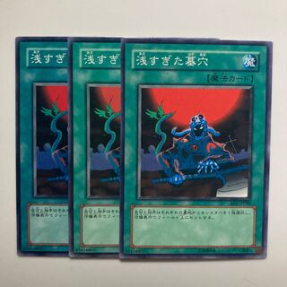 The Shallow Grave $4412