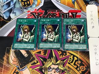 Graceful Charity YU 2nd period ver 1 normal set of 3 tera