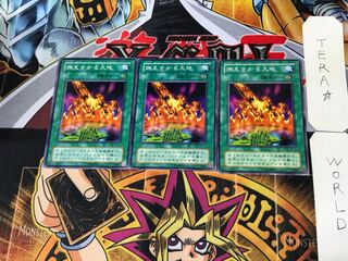 燃えさかる大地 TB 2期ver 1 ノーマル 3枚セット てら