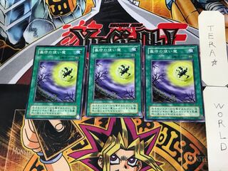 Gravekeeper's Servant MR 2nd period ver 3 normal, set of 3 Tera.