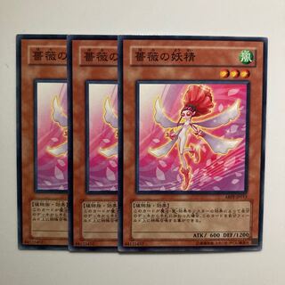 9057 薔薇の妖精 ノーマル JP013