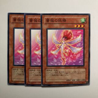 9058 薔薇の妖精 ノーマル JP013