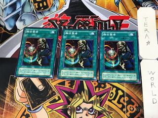 Fusion Sage PE 2nd period ver 3 normal, set of 3 Tera