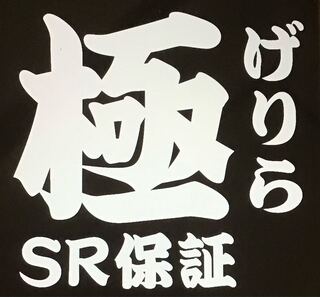 【販売停止中】ポケカ　極げりらオリパ【SR以上確定】