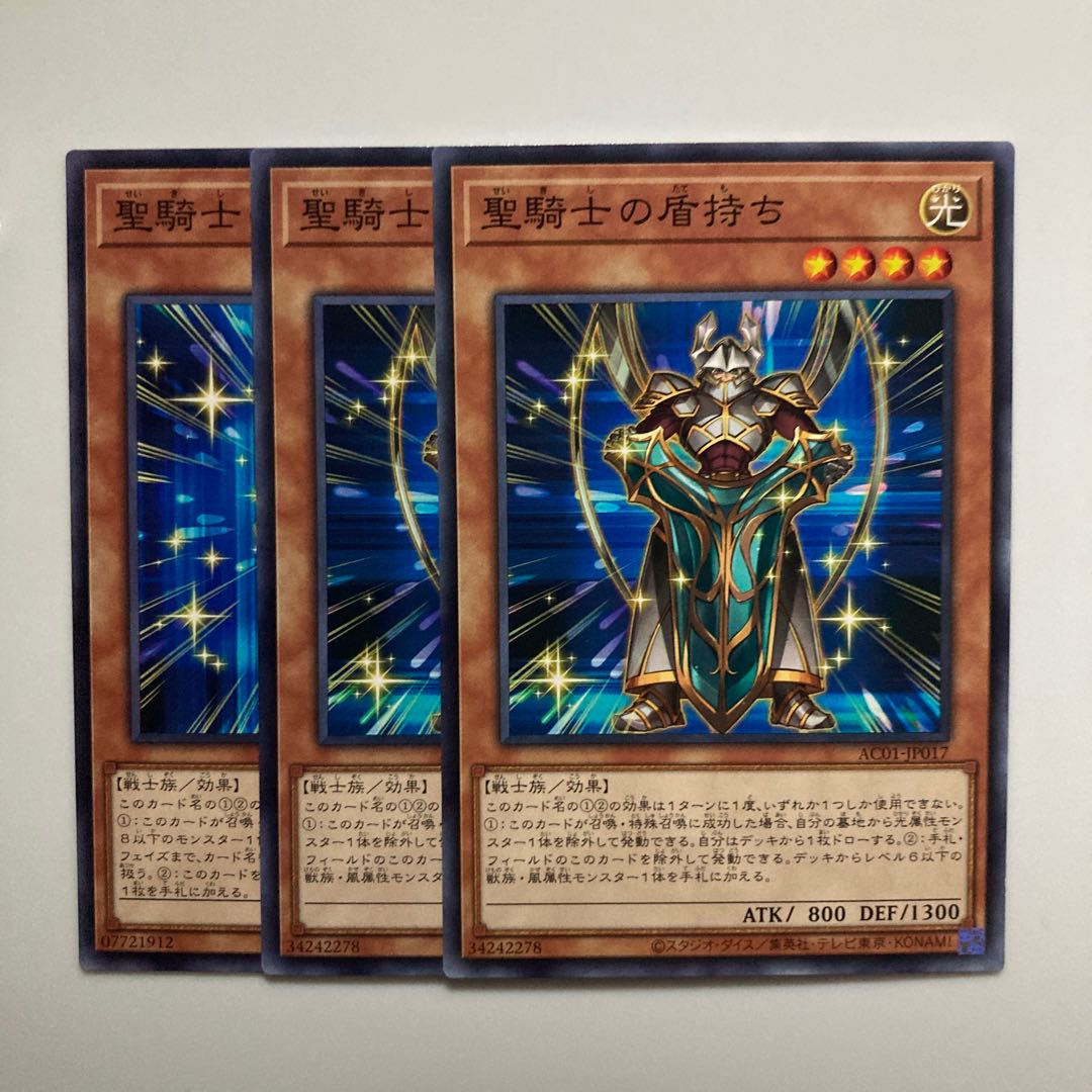 Noble Knight's Shield-Bearer $4442