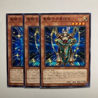 Noble Knight's Shield-Bearer $4442