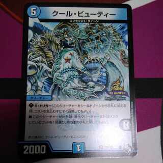 Cool Beauty R 19/110