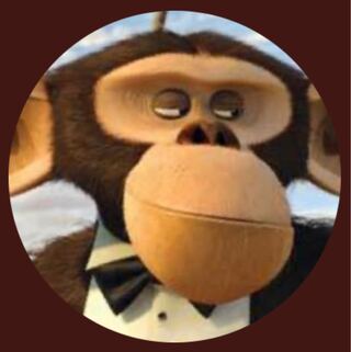 TCG Madagascar (self-introduction & event notification board)