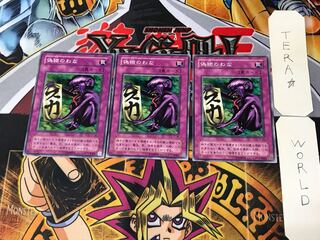 Fake Trap JY 2nd period ver 1 Normal set of 3 Tera