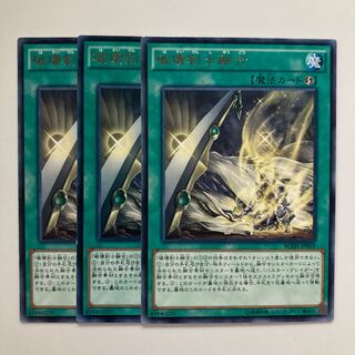 9067 Destruction Swordsman Fusion $4452