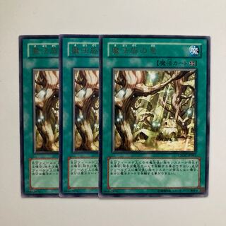 魔法族の里　$4457