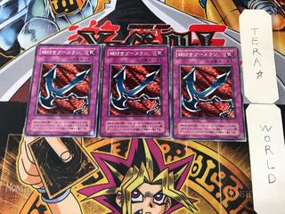 鎖付きブーメラン JY 2期ver 2 ノーマル 3枚セット てら