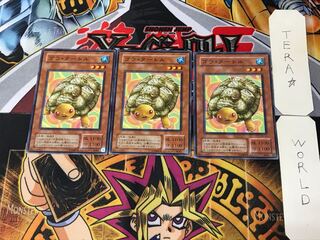 Gora Turtle PH 2nd period ver 1 normal, set of 3 tera