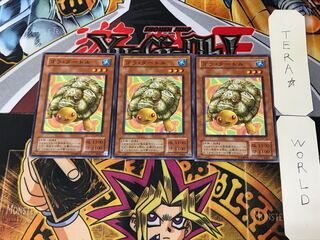 Gora Turtle PH 2nd period ver 2 Normal set of 3 Tera
