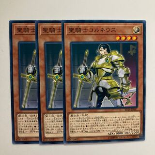 聖騎士コルネウス $4483