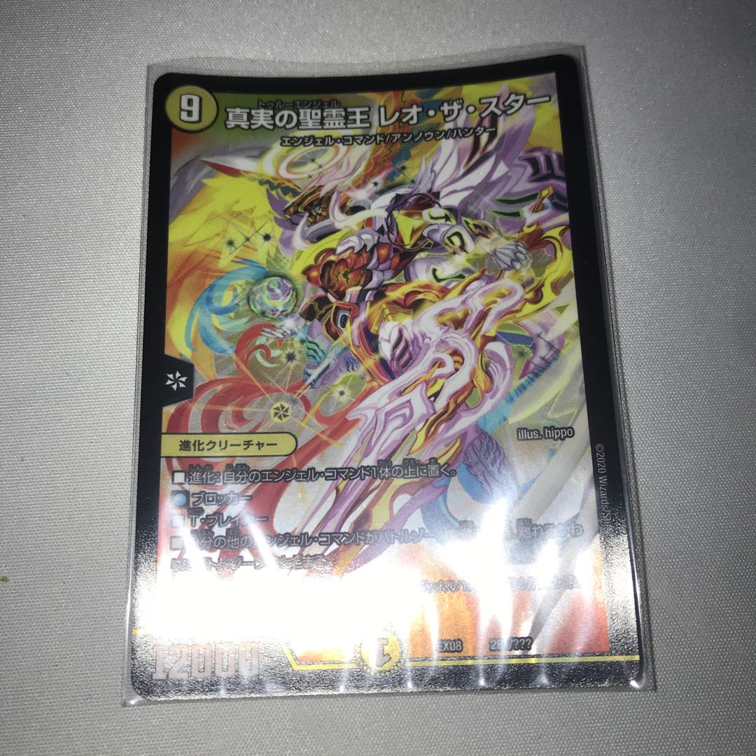 真実の聖霊王レオザスター　