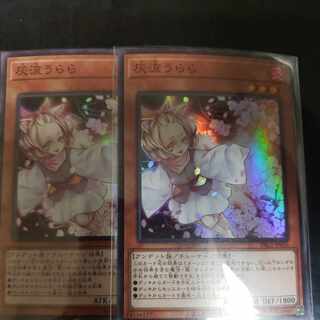 Ash Blossom & Joyous Spring Super Rare JP016