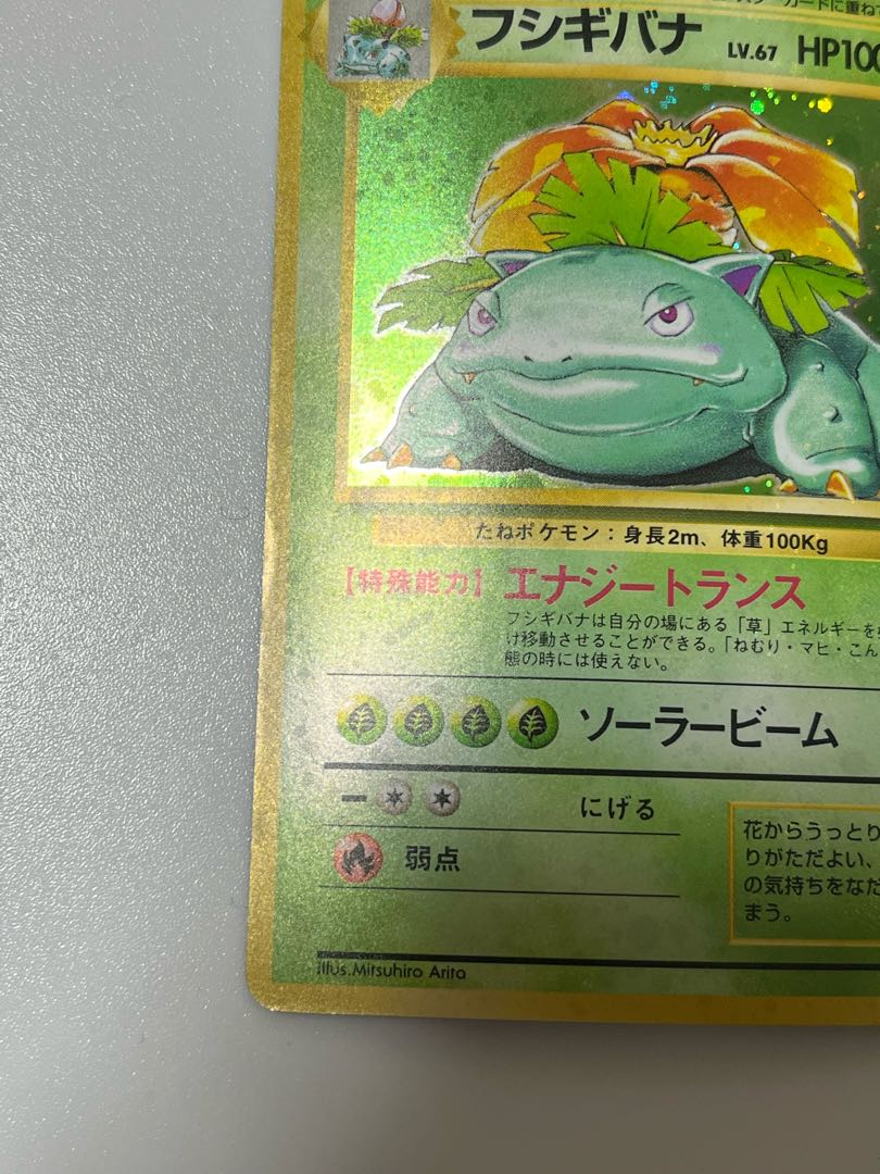 Pokémon card Venusaur old back, entire holo