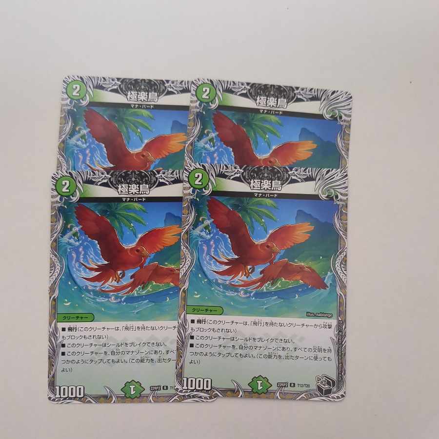 Birds of Paradise (Black Treasure) R T12/T20