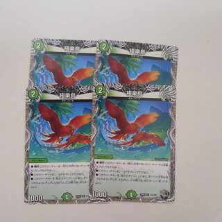 Birds of Paradise (Black Treasure) R T12/T20