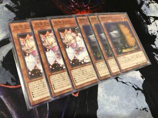 Ash Blossom & Joyous Spring Maxx "C" Normal