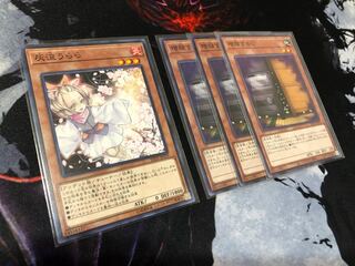 Ash Blossom & Joyous Spring Maxx "C" Normal