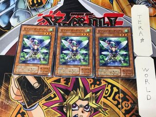 ピクシーガーディアン SM 2期ver 1 ノーマル 3枚セット てら