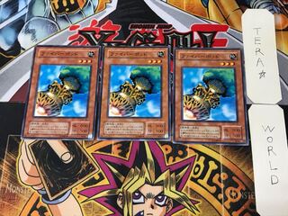 Fiber Jar MA 2nd period ver 3 normal, set of 3 Tera