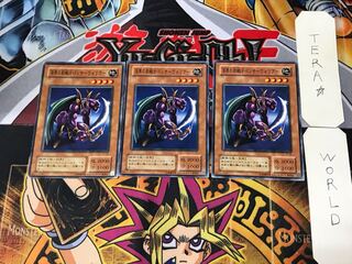 Panther Warrior JY 2nd period ver 3 normal, set of 3 Tera