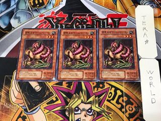 The Wicked Worm Beast B2 2nd period ver 2 normal, set of 3 Tera