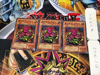 Wodan the Resident of the Forest B2 2nd period ver 3 normal Set of 3 Tera