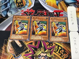 隼の騎士 TB 2期ver 1 ノーマル 3枚セット てら