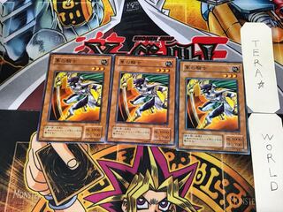 隼の騎士 TB 2期ver 2 ノーマル 3枚セット てら