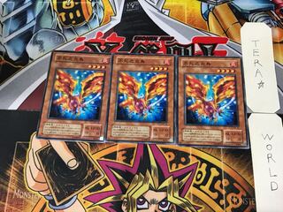 Fushi No Tori MA 2nd period ver 2 Normal set of 3 Tera