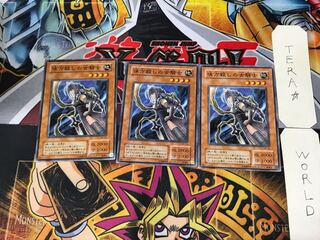 味方殺しの女騎士 SM 2期ver 2 ノーマル 3枚セット てら