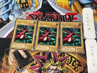 ウィルミー B1 2期ver 3 ノーマル 3枚セット てら