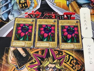 Man Eater PG 2nd period ver 1 normal, set of 3 Tera