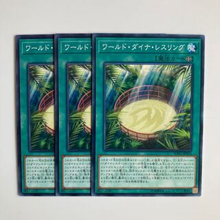 ワールド・ダイナ・レスリング $4572