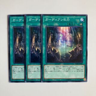 ガーディアンの力 $4576