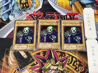 Wight LB 2nd period ver 3 normal, set of 3 Tera