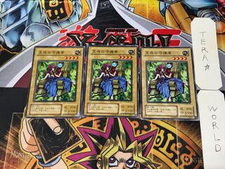 Protector of the Throne ME 2nd period ver 1 Normal 3-card set Tera