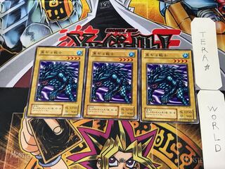 魚ギョ戦士 B1 2期ver 3 ノーマル 3枚セット てら