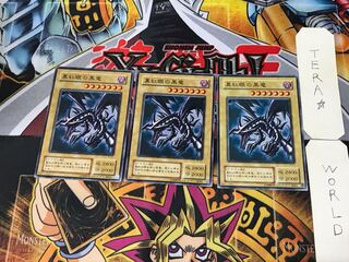 真紅眼の黒竜 JY 2期ver 2 ノーマル 3枚セット てら