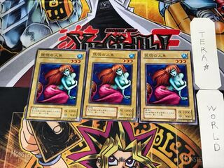 Enchanting Mermaid PG 2nd period ver 3 normal, set of 3 Tera